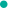 《小旋风蜘蛛池：揭秘这款神奇工具的用途与奥秘》